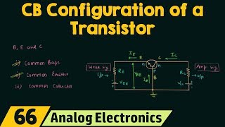 CommonBase Configuration of a Transistor [upl. by Ehrenberg]