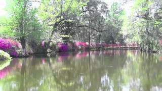 Magnolia Plantation and Gardens [upl. by Amick695]