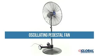 Oscillating Pedestal Fan [upl. by Kimmy]