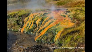 Aerial View Thermal Area Reykjadalur of Iceland  Von oben Islands Thermalgebiet Reykjadalur [upl. by Coad]