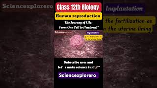 Part 1  Human reproduction class 12 Biology chapter 3ncert neet cbse sciencexplorero [upl. by Howe820]