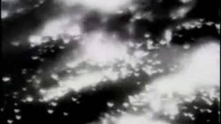 1945 Dresden Bombing Newsreel [upl. by Ojoj]