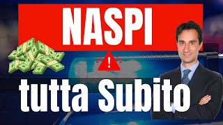 PARTITA IVA E DISOCCUPAZIONE GUIDA SU COME FARE DOMANDA DI NASPI ANTICIPATA Tutorial completo 2024 [upl. by Jacinto]