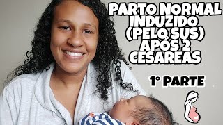 RELATO DE PARTO NORMAL INDUZIDO APÃ“S 2 CESAREAS  MATERNIDADE SOFIA FELDMAN  1Â° PARTE [upl. by Sainana]