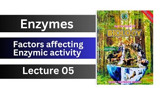 factors affecting enzyme activity  enzymes  class 11 biology Sindh board new [upl. by Olihs]