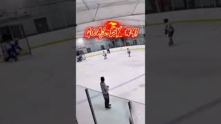 All goals from west seneca wings game hockey hockey icemen [upl. by Swor]