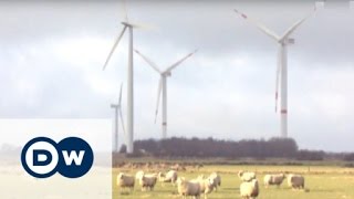 Harvesting the Wind  Ellhöft Wind Farm  Made in Germany [upl. by Thecla]