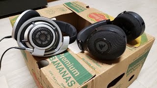 Sennheiser HD800 vs Focal Elex Comparison [upl. by Chrissa]