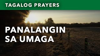 Panalangin sa Umaga • Pagkagising • Tagalog Morning Prayer • Morning Offering • Upon Waking Up [upl. by Zadack]