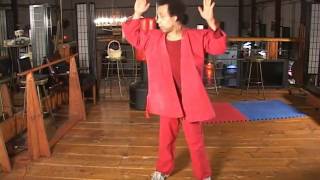 Karate Horse Stance 18 Elbows  Calasanz Martial Arts Top Best [upl. by Sarah]