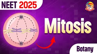 Mitosis  Most Important Questions of Mitosis  NEET Botany  srichaitanyagosala [upl. by Ognimod]