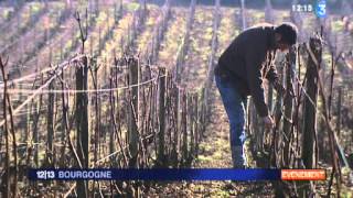 Domaine Ramonet à CHASSAGNEMONTRACHET [upl. by Elumas]