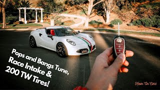 The RAWEST Car Ive Experienced Track Day Alfa Romeo 4C 【Review With Owner】 [upl. by Birgitta]