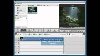 How to create Fast Motion effect in your video using AVS Video Editor [upl. by Eustacia]