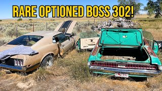 Special Boss 302s Cars Unearthed After 10 Years [upl. by Lydon618]