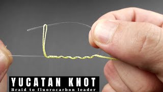 YUCATAN KNOT Braid to Mono or Fluorocarbon  how to tie a ultimate strength for fishing [upl. by Holton]