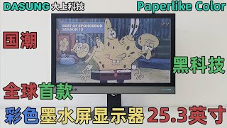 DASUNG Paperlike Color  The Worlds First 253inch Color Eink Monitor Real Footage [upl. by Elockin106]