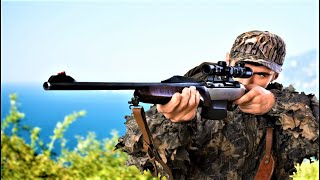 Top 4 Best Gamo Air Rifles To Buy in 2024 [upl. by Tsirc]