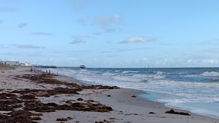 Live Webcam View  Cocoa Beach Pier [upl. by Ebanreb]