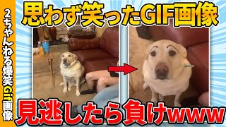 【おもしろgif総集編】思わず吹いた爆笑gif画像集ww 【コメ付き】【ゆっくり解説】【2chスレ】【5ch】 [upl. by Akeber]