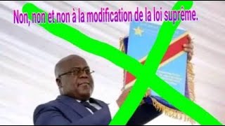 Debat Congolais UDPS  PAPY TAMBA sur la revision constitutionelle [upl. by Entwistle]