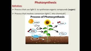 Photosynthesis Light Reaction البناء الضوئي تفاعلات الضوء [upl. by Henarat]