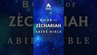 Book of Zechariah  Abide Audio Bible [upl. by Grissom764]