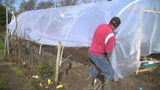 9 Poly Tunnel Resheeting [upl. by Schram762]