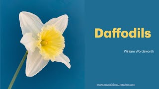 Daffodils  William Wordsworth  IWandered Lonely as a Cloud Poem with Explanation [upl. by Forta]