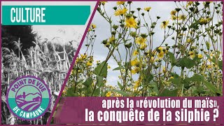 Après la « révolution du maïs » la conquête de la silphie [upl. by Gruver]