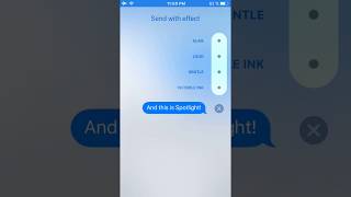 Echo amp Spotlight Screen Message Effects Coming In iOS 11 [upl. by Aehta]