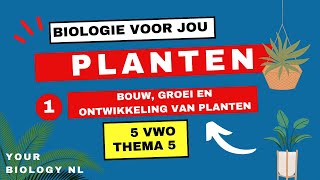 5 vwo  Planten  1  Bouw groei en ontwikkeling van planten [upl. by Aerdnuahs531]