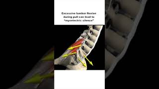 Understanding Deadlift Back Rounding [upl. by Abbotsun]