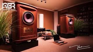 Greatest Audiophile Voices amp Deep Bass  Audiophile NBR Music [upl. by Aldarcie]