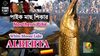 White Moose LakeFishing PlanetNorthern Pike Bangla  JS Fishing [upl. by Ansley603]