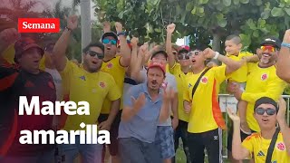 Hinchas colombianos en Miami listos para la final  Semana Noticias [upl. by Acceber]