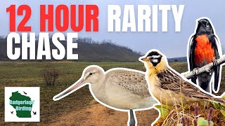 We Have 12 Hours to Find as Many Rare Birds as Possible [upl. by Neelahs]