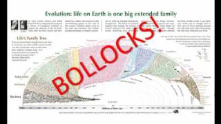 Copypasting genes The origin of new genetic information [upl. by Bethel]