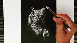 How to draw a black and white view of an owl for wall decoration [upl. by Ecinom741]