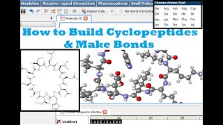 Cyclopeptides  How to Build 3D Model on DSV [upl. by Dric22]