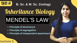 INHERITANCE BIOLOGY  Mendels Law  B Sc amp M Sc  Zoology [upl. by Arrej]