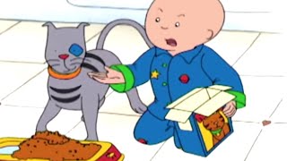 Caillou Deutsch ★ Caillou und die Hungrige Katze  Cartoons auf Deutsch  Neue Ganze Folge [upl. by Helbona726]