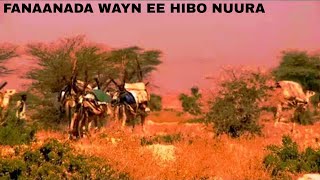 Hibo nuura hees bilaa music ah oo Cod macaan Hibo mahamed hibo nuura [upl. by Ayin71]