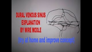 Venous sinuses of dura mater in 20 min on tips  TCML [upl. by Katine971]