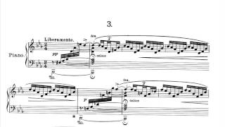 Selim Palmgren ‒ Nocturne in Three Scenes Op72 [upl. by Domenic]