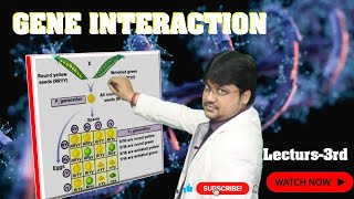 quotGenetics Gene Interaction Explained  Class XII amp NEETquot [upl. by Vitek]