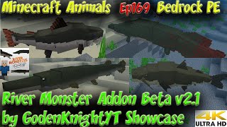 River Monster Addon Beta v21 by GodenKnightYT Animal Showcase Bedrock PE Minecraft Animals Ep169 [upl. by Gilmour]