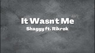 Shaggy Ft Rikrok  It Wasnt Me Lyrics [upl. by Aynotan]