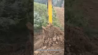 Satisfying Process Of Mechanically Digging Medical Plant Roots [upl. by Mellette]