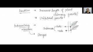 Grade 9 Types of meristem [upl. by Coit]